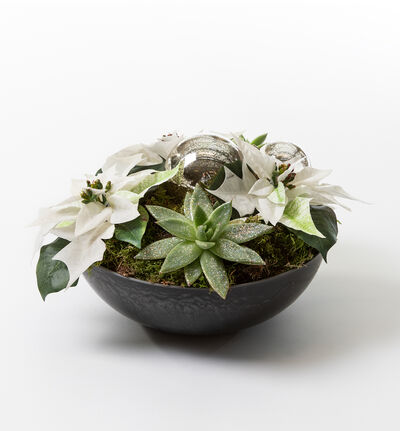 Julegruppe med minijulestjerner hvit Julegruppe med minijulestjerner hvit